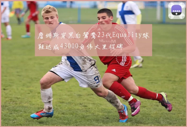 詹姆斯穿黑白鸳鸯23代Equality球鞋达成43000分伟大里程碑